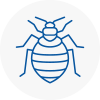 Bed Bug Extermination In Chadwell Heath